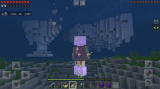 �X�R�i�C���j