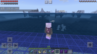 �k���Ɍ�����̂́c�X�R !?